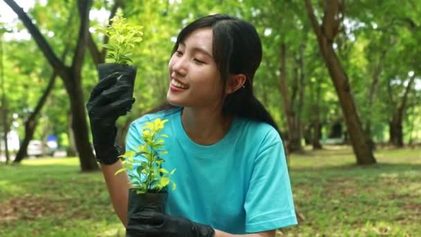 귀여운 아시아의 환경을 보호하는 정원에서 공간을 나무의 묘목을 보여주는 카메라를보고 — 비디오