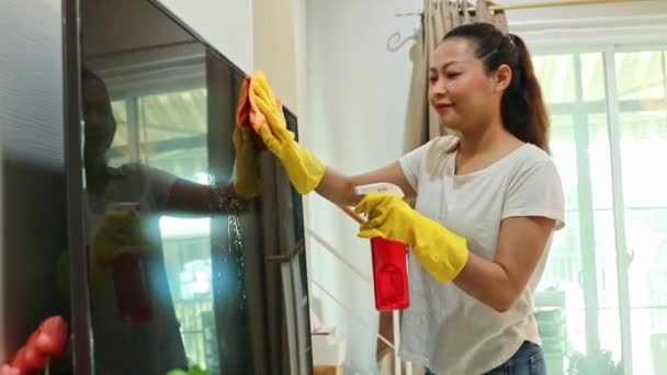 일하는 주부는 건강을위한 알레르기 문제를 줄이는 위생을 집에서 행복합니다 먼지를 — 비디오
