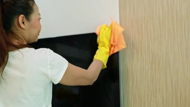 일하는 주부는 건강을위한 알레르기 문제를 줄이는 위생을 집에서 행복합니다 먼지를 — 비디오