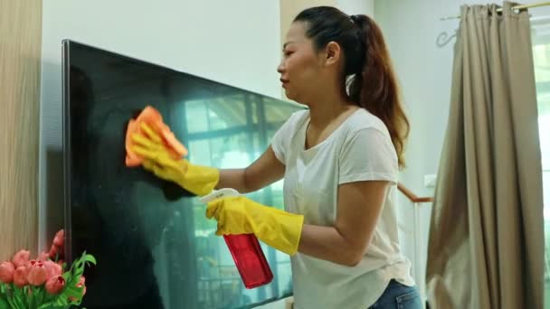 Робочі Домогосподарки Щасливі Вдома Гігієну Зменшуючи Проблеми Алергією Здоров Жінка — стокове відео