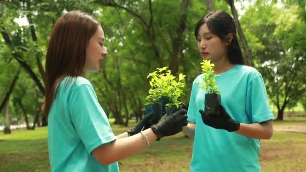 Jovens Estudantes Asiáticas Ambientais Ecologia Voluntários Juntos Segurando Brotos Fazendo — Vídeo de Stock