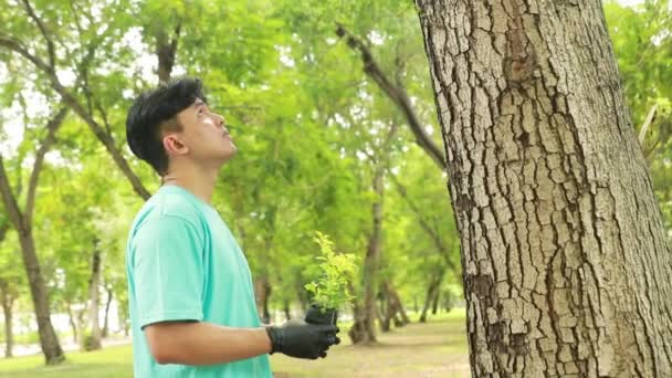 英俊的亚洲男性志愿者 种植树木 保护环境 站着抱着小树苗 看看高大的大树是否有可能准备长出翠绿美丽的树木 — 图库视频影像