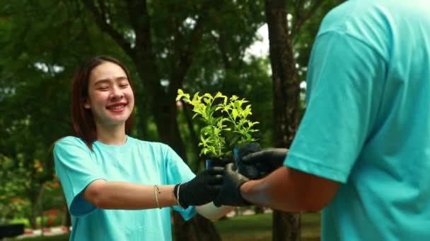 アジアの女性ボランティアは 庭の環境を保護するために木を植えます 緑の増加は誇らしげに植物に植えられた苗を提出する男性ボランティアから苗を受け取ります — ストック動画