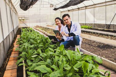 Beyaz önlüklü iki uzman tarım araştırmacısı seradaki ekinleri analiz etmek için büyüteç kullanıyorlar. Bu sayede akıllı tarım teknolojileri dizüstü bilgisayarlarında veri olarak depolanacak olan büyümeyi takip edebilecekler..