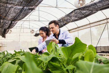 Beyaz önlüklü iki uzman tarım araştırmacısı seradaki ekinleri analiz etmek için büyüteç kullanıyorlar. Bu sayede akıllı tarım teknolojileri dizüstü bilgisayarlarında veri olarak depolanacak olan büyümeyi takip edebilecekler..
