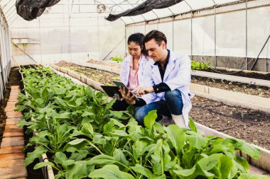 Beyaz önlüklü iki uzman tarım araştırmacısı seradaki ekinleri analiz etmek için büyüteç kullanıyorlar. Bu sayede akıllı tarım teknolojileri dizüstü bilgisayarlarında veri olarak depolanacak olan büyümeyi takip edebilecekler..