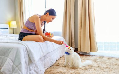 Yatak odasında spor yapmak için spor yapan güzel, sağlıklı Asyalı kadın yatakta oturup besleyici atıştırmalıklar yiyor tüylü bir kediye sevgiyle bakıyor..
