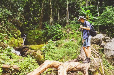 Kafkas genç adam tropik dağ orman kaşifi yalnız maceraperest kendi konumunu bulur ve güzel verimli şelale patikalarında yön bulma planı için pusulayı tutar..