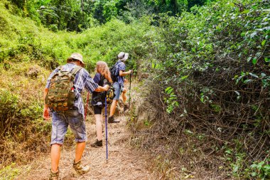 Arka plan grubu erkek rehber ve kadın turistler, güzel şelale varış noktalarını aramak için sarp doğa patikalarını kullanarak Tayland 'ın tropikal ormanlarında kuyruğa girerler..