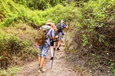 Arka plan grubu erkek rehber ve kadın turistler, güzel şelale varış noktalarını aramak için sarp doğa patikalarını kullanarak Tayland 'ın tropikal ormanlarında kuyruğa girerler..