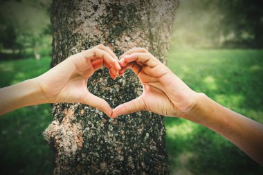 İki kadın eli el ele tutuşuyor, şekil veren kalp sembolleri, aşk ağaçları ve dünyayı, çevreyi ve doğal kaynakları koruma ve doğa konseptini koruma..