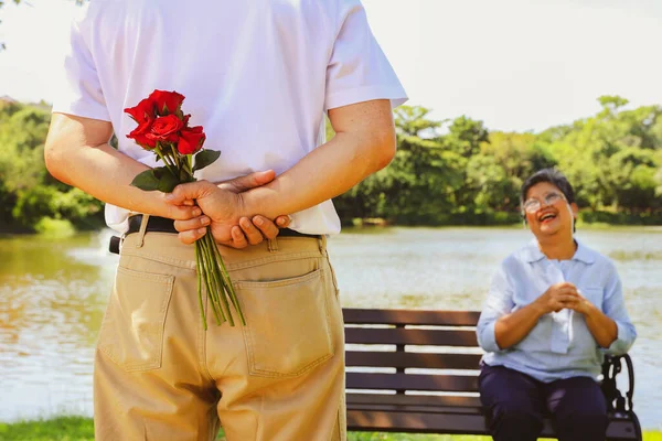 Senior asian couple\'s wedding lasting love anniversary surprise : Elderly husband hides red rose behind his back give to his beloved wife park bench extending his arms to receive the rose with joy.