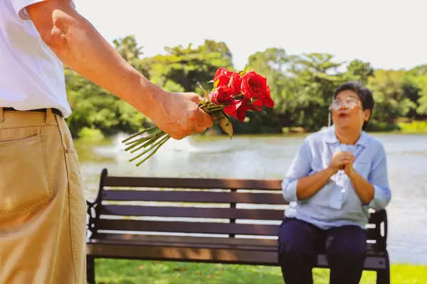 Senior asian couple\'s wedding lasting love anniversary surprise : Elderly husband hides red rose behind his back give to his beloved wife park bench extending his arms to receive the rose with joy.