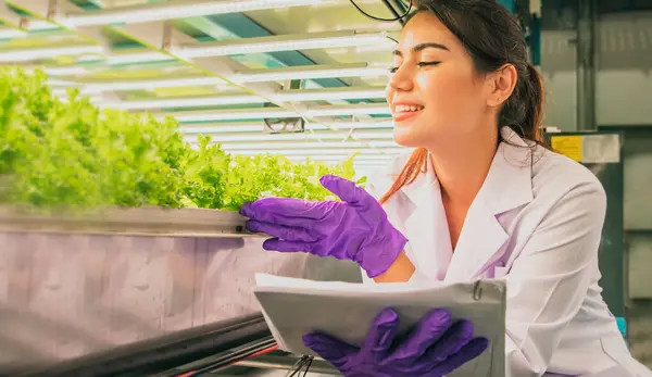 Female science researcher holds document on growing hydroponic vegetables grown system with quality clean rooms controlled solar cells Led Grow lights innovative planting technology without chemicals.
