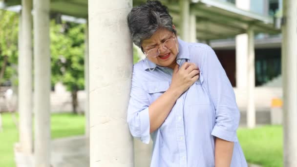 高齢のアジアの女性は重度の心臓発作を起こし 胸を抱えて息を止め 一人で歩いている間胸部の弱い健康問題に痛みを感じることができませんでした ヘルスケアと保険 — ストック動画