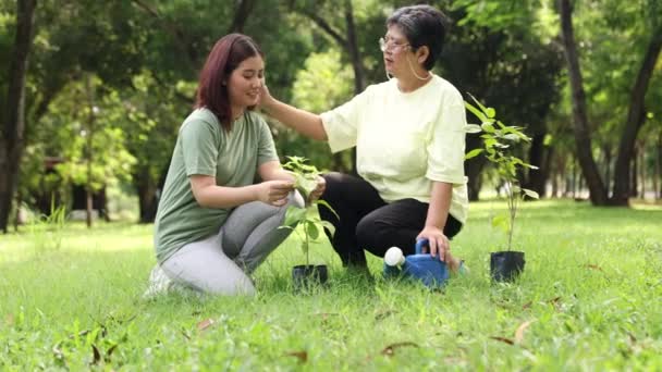 Friluftsliv Frivillig Aktivitet Asiatisk Senior Mor Och Vuxen Dotter Plantera — Stockvideo