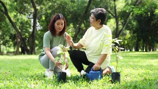 Atividade Voluntária Recreativa Livre Uma Mãe Sênior Asiática Filha Adulta — Vídeo de Stock