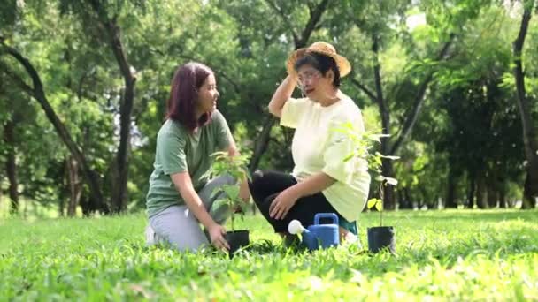 Atividade Voluntária Recreativa Livre Uma Mãe Sênior Asiática Filha Adulta — Vídeo de Stock