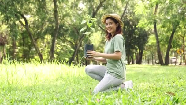 Gelukkig Aziatische Vrouwelijke Vrijwilliger Zitten Bedrijf Plant Jonge Planten Zwarte — Stockvideo