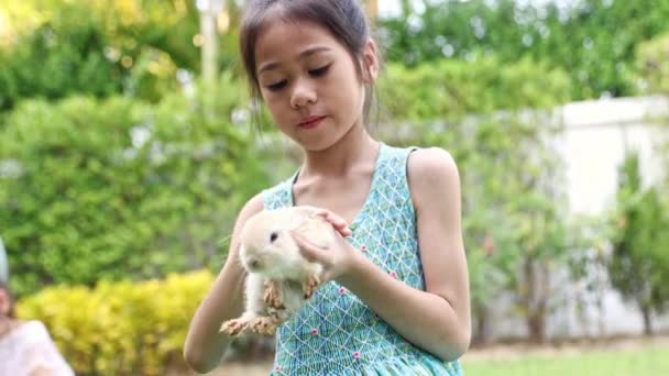 Lindo Asiático Pequeña Chica Amabilidad Relajarse Sienta Amorosamente Criando Jugando — Vídeo de stock