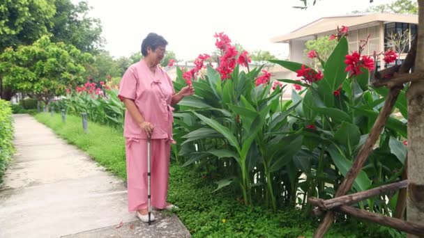 Ancianos Mujer Asiática Utiliza Bastón Caminar Través Del Hermoso Jardín — Vídeos de Stock