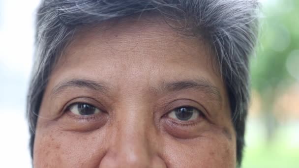 Närbild Äldre Kvinna Blinkar Hennes Ögon Vid Kameran Äldre Asiater — Stockvideo