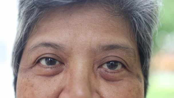 Κοντινό Πλάνο Ηλικιωμένη Γυναίκα Αναβοσβήνει Μάτια Της Στην Κάμερα Ηλικιωμένοι — Αρχείο Βίντεο