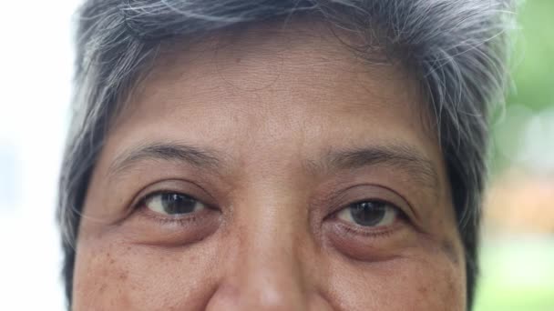 Крупным Планом Пожилая Женщина Моргает Глазами Перед Камерой Пожилые Азиаты — стоковое видео