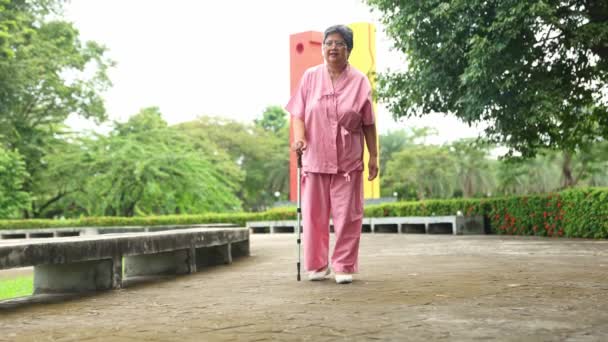 Anziani Donna Asiatica Utilizza Walker Camminare Lentamente Esercizi Parco Ombreggiato — Video Stock