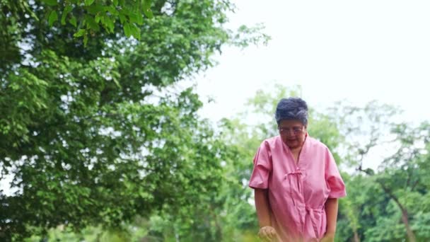 高齢のアジアの女性は 病気の後に彼女の健康を維持し 正常に彼女の体を復元するために 病院フィールドの芝生の影の公園の性質でゆっくりと運動を歩くためにウォーカーを使用しています — ストック動画