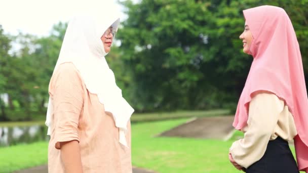 Уважительное Приветствие Двух Мусульманских Женщин Пожилой Женщины Молодой Женщины Является — стоковое видео