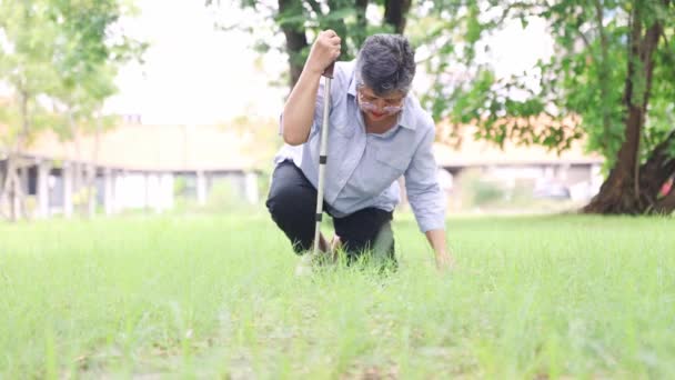 Oudere Aziatische Vrouw Struikelde Ongeluk Viel Glad Gras Een Park — Stockvideo