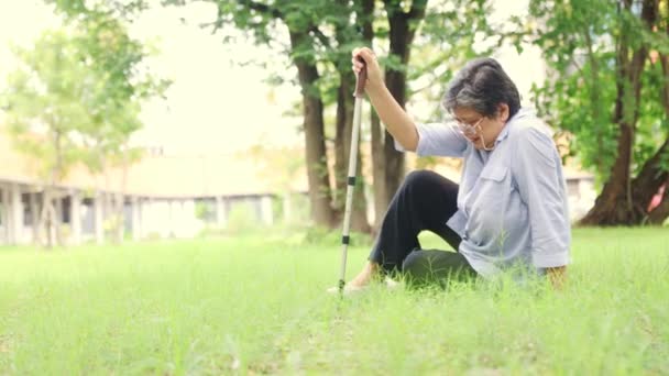 高齢のアジアの女性は偶然公園で滑りやすい草の上に落ちました 彼女は彼女を助けるために杖を使おうとした 彼女はゆっくりと歩き 軽傷を負った — ストック動画