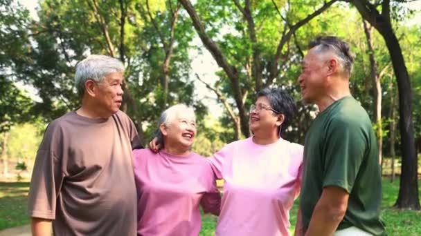 Glada Grupp Asiatiska Äldre Pensionärer Som Friska Och Glada Tillsammans — Stockvideo