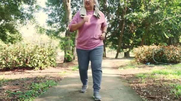 老年妇女灰白的头发在公园里散步和慢跑时 突然膝痛骨头关节疼痛骨关节炎 不得不停止跑步 以温和的按摩缓解症状 — 图库视频影像