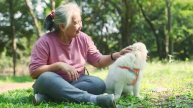 Yürekli, yaşlı Asyalı kadın, neşeli bir kalple parkta yürürken ona eşlik eden sevimli, beyaz tüylü bir köpeğin tüylü kürkünü okşadı..