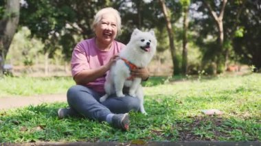Yürekli, yaşlı Asyalı kadın, neşeli bir kalple parkta yürürken ona eşlik eden sevimli, beyaz tüylü bir köpeğin tüylü kürkünü okşadı..