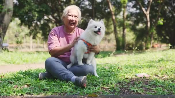 Knd Hearted Ältere Asiatische Frau Saß Und Streichelte Das Pelzige — Stockvideo