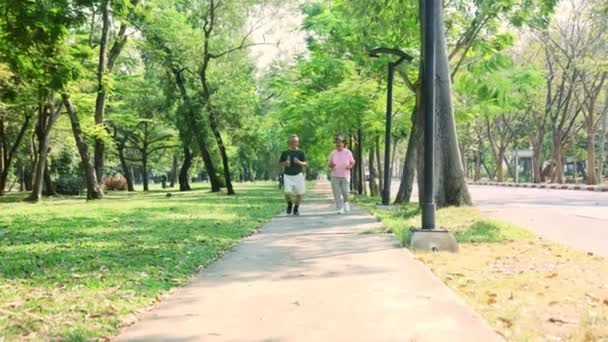 Азиатская Старшая Пара Здоровое Тело Хорошее Психическое Здоровье Медленно Бег — стоковое видео