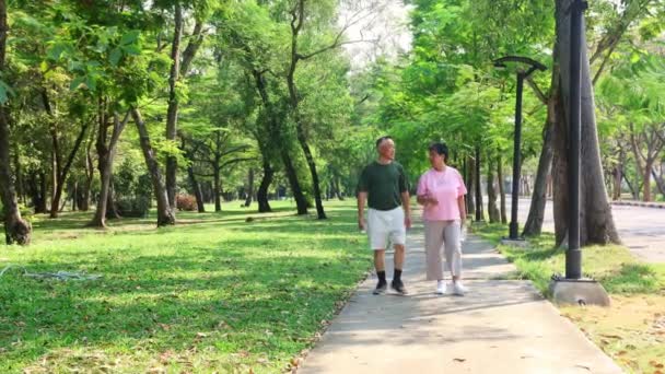 Asijské Starší Pár Zdravé Tělo Chůze Cvičení Silnici Ranní Chodník — Stock video