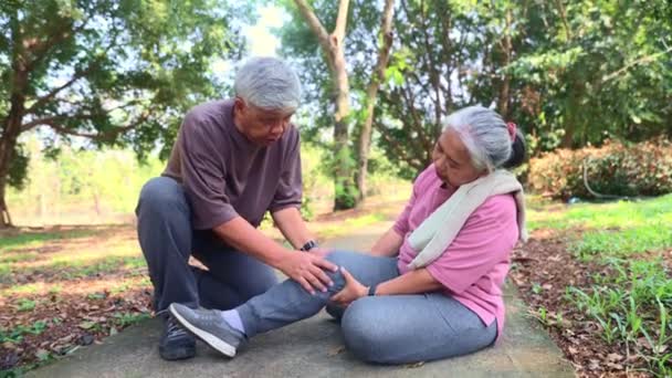 Ein Älteres Ehepaar Das Sich Garten Umsorgt Der Ehemann Kümmert — Stockvideo