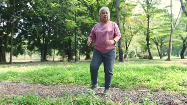 Oudere Aziatische Vrouw Verzorgen Van Haar Gezondheid Uit Oefenen Tuin — Stockvideo