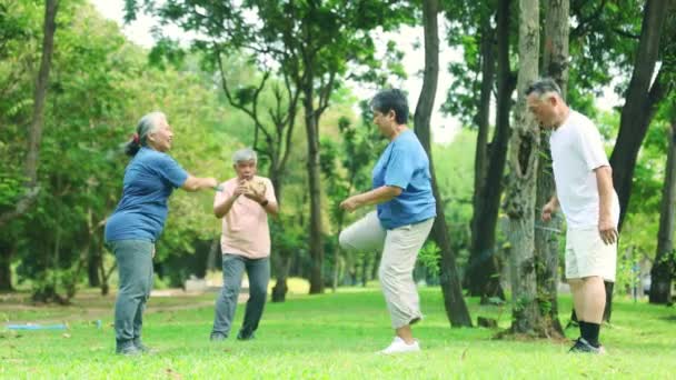 グループ アジアのシニア市民は ランニングフィニッシュラインで競争するロープをプレイするチームに分割屋外運動活動に参加して 勝者は良い気分を応援公園で幸せに笑います — ストック動画