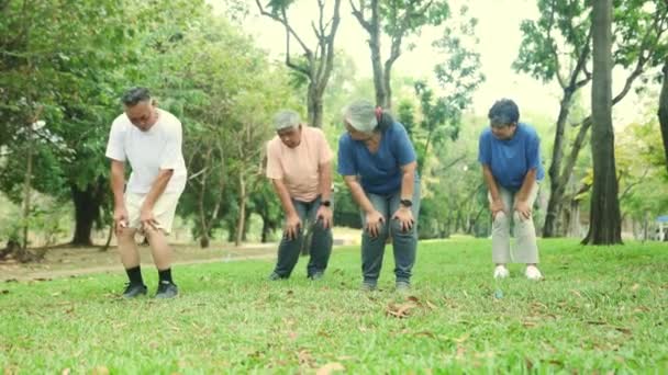 Ćwiczenia Dla Zdrowia Grupa Starszych Azjatów Uprawia Sport Ogrodzie Ćwicząc — Wideo stockowe