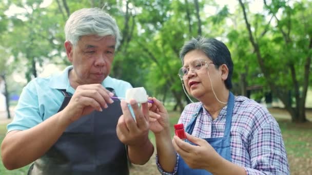 Freude Und Genuss Eines Asiatischen Älteren Paares Das Sich Einem — Stockvideo