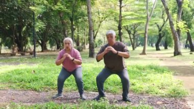 Yaşlı Asyalı çift ısınıyor ve vücutlarını esnek ve çevik tutmak için egzersiz yapıyor sağlıklarına dikkat ediyor ve karanlık bir bahçede akıllarını başına getiriyor: Sağlık ve sağlık sigortası kavramı