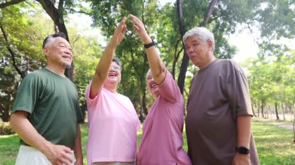 陽気なグループ アジアの高齢退職者 健康に恵まれている人々 一緒に参加する 力のレクリエーション活動 スポーツ運動 午前中に楽しんでいます 良い気分 生きる 長い人生 — ストック動画