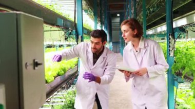 Birlikte çalışan iki araştırmacı güneş pili panellerinden elde edilen kurşunlu büyüyen ışıkları kullanarak kapalı alan hidrofonik sebze çiftliklerinin kalitesini koruyorlar. Fotovoltaik sağlıklı büyüme kimyasallarını izliyorlar..