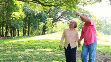 Romantik yaşlı çift, güzel havayla gölgeli bir parkta el ele yürürken, yaşlılıkta sağlık için doğa ve yeşil ağaçların tadını çıkarıyor: Sağlık konsepti ve olumlu tavır..