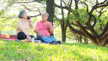 Yaz bahçesinde mutlu bir emekli çift: Rahat ve gölgeli atmosfer bahçesinde mutluluk. Hobileri olan, telefonda konuşan ve birlikte abur cubur yiyen yaşlı bir çift..